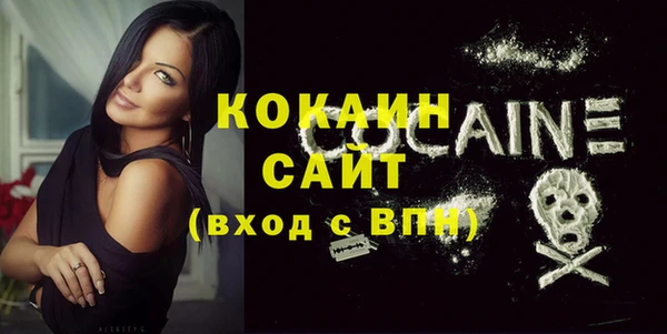 спайс Пересвет
