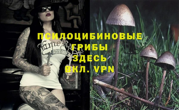 Альфа ПВП Переславль-Залесский