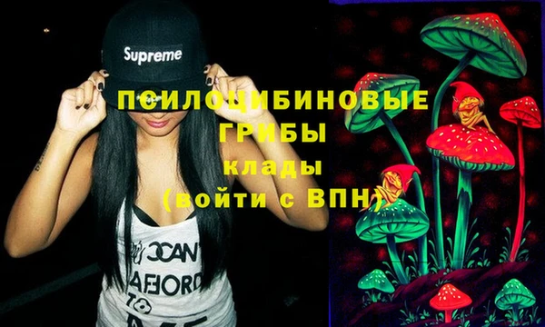 спайс Пересвет