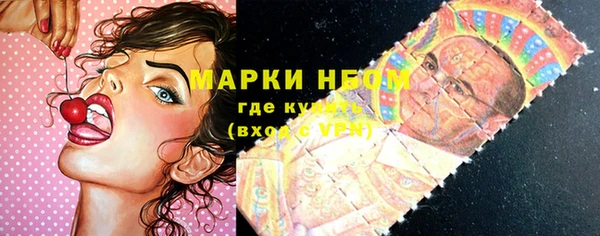 сатива Пестово