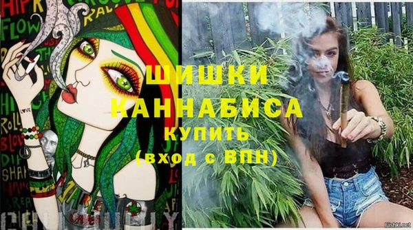 сатива Пестово